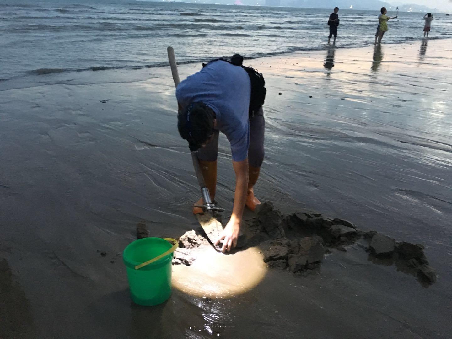 厦门大叔海边挖"沙滩香肠:游客越多越难挖