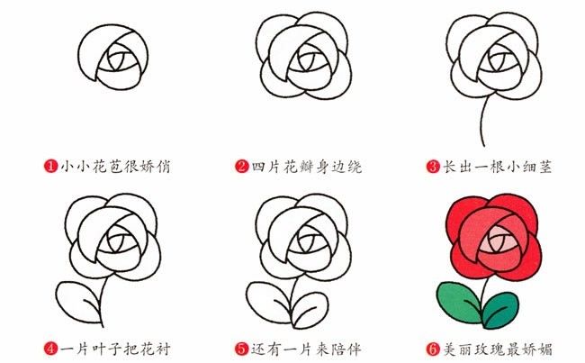 cad玫瑰花的画法图片