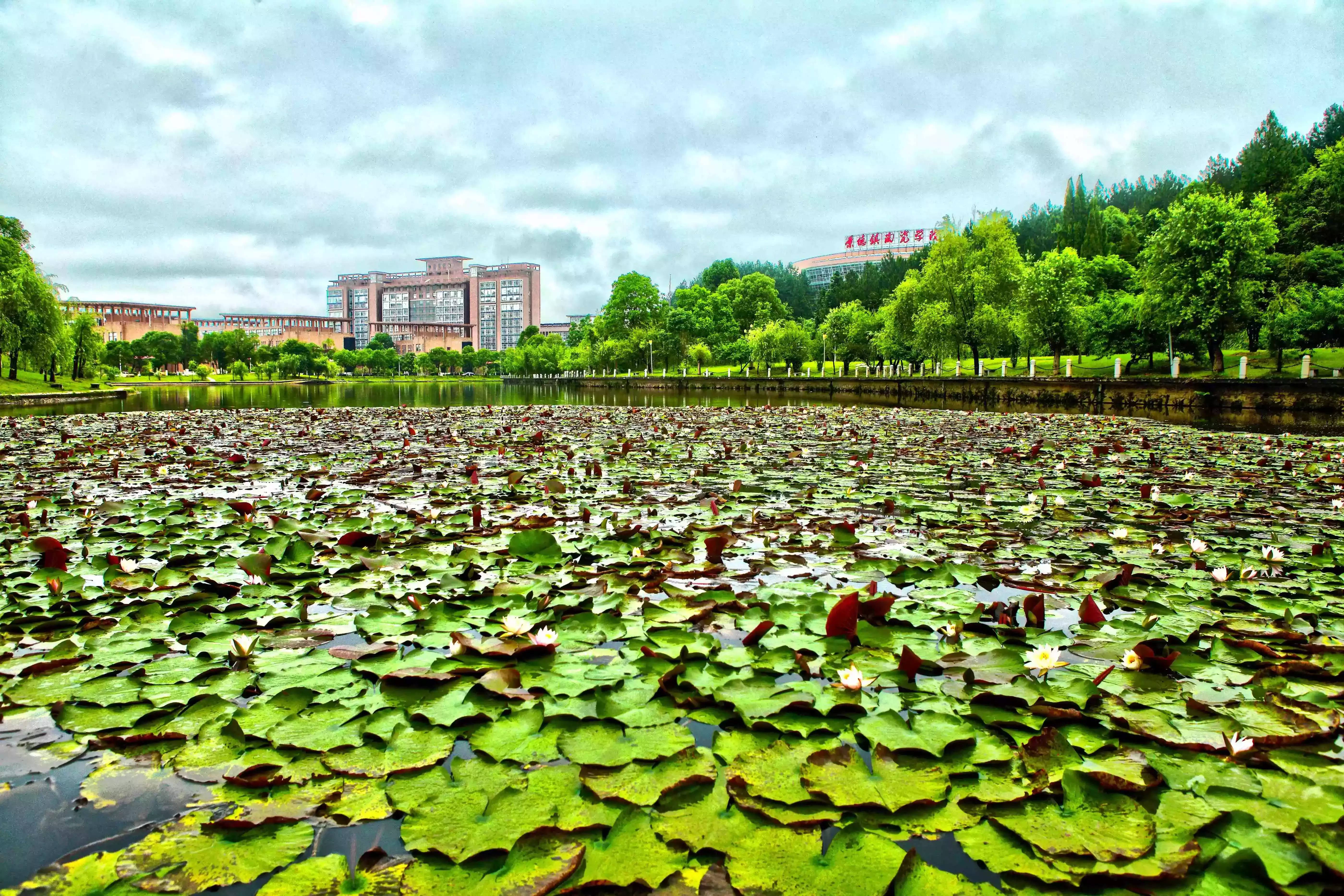 大家好给大家介绍一下这是我的大学景德镇陶瓷大学