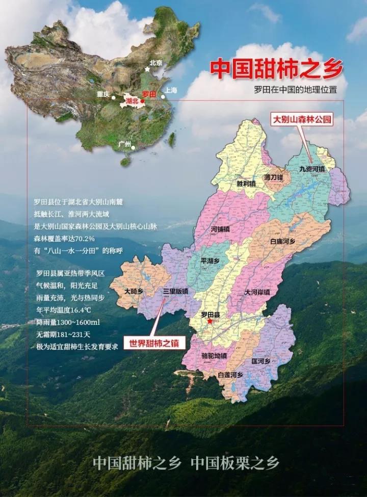 罗田县行政区划地图图片