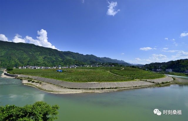 一個小山村的崛起桑植陳家河鎮黃木潭村