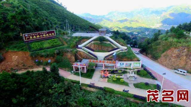 钱排白鸡坳森林公园 茂名晚报记者吴昊 摄