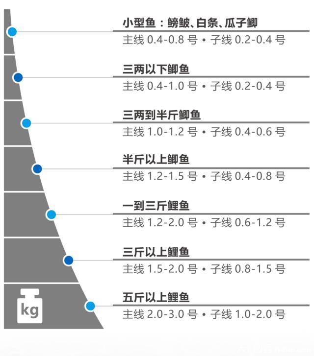 你的主线与子线搭配其实是错误的!附赠子线的正确使用方式