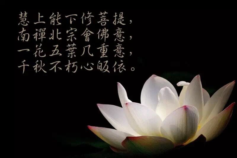 佛教有"花开见佛性"之说,这里的花即指莲花,也就是莲的智慧和境界.