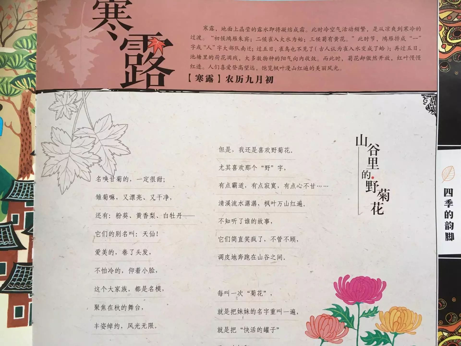 【四季的韵脚】中华二十四节气儿童诗——寒露