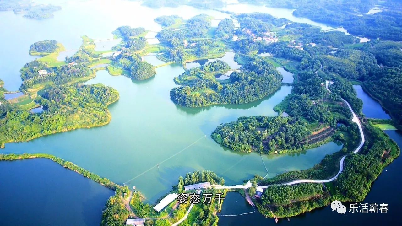 有一個人間仙境,叫赤龍湖國家溼地公園這是我的旅遊照片我叫蘄春這是