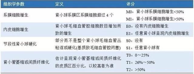 (6)急進性腎炎型;(5)腎病綜合徵型;(4)急性腎炎型;(3)血尿和蛋白尿型