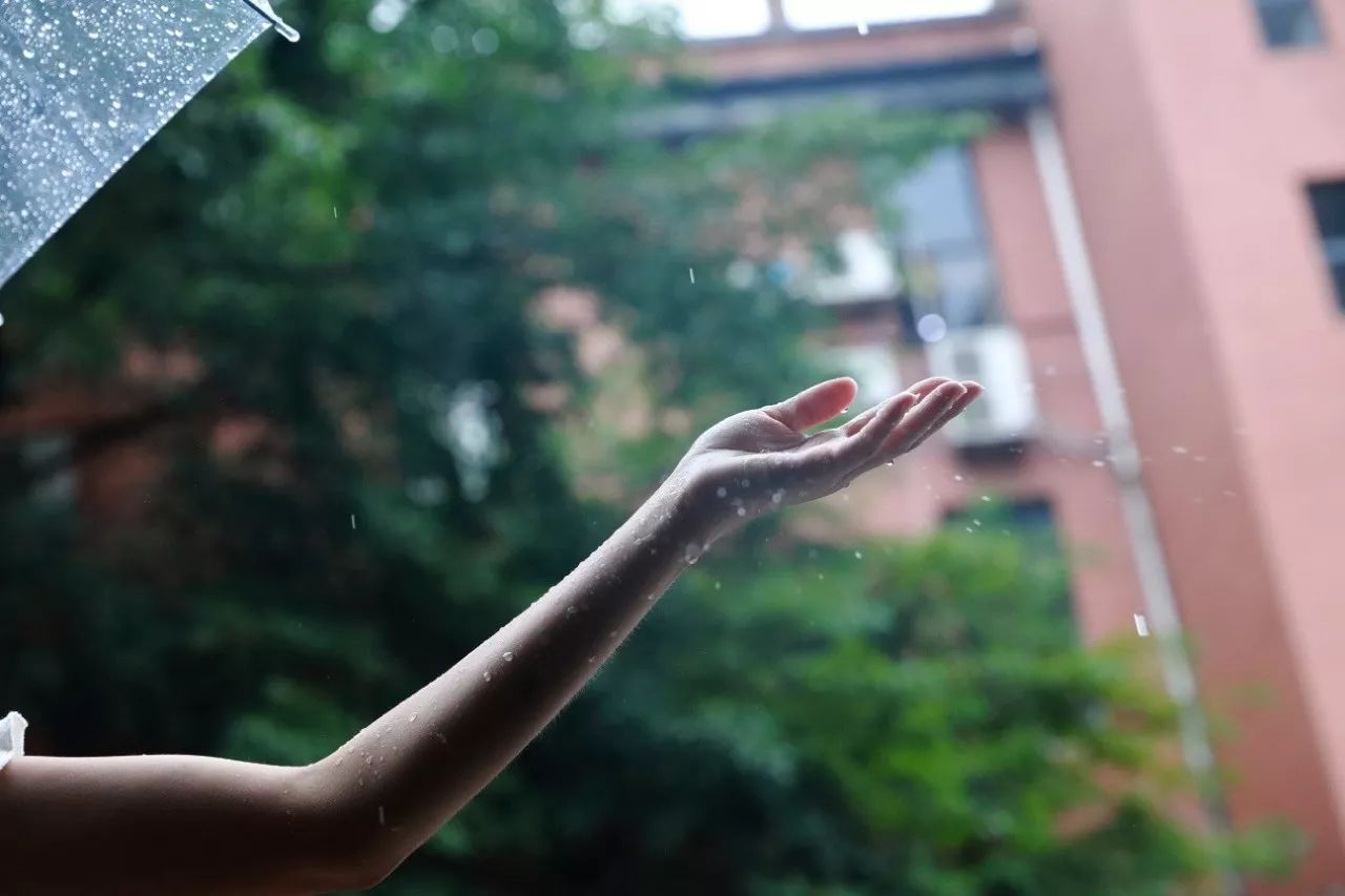 一个女的伸手接雨图片图片