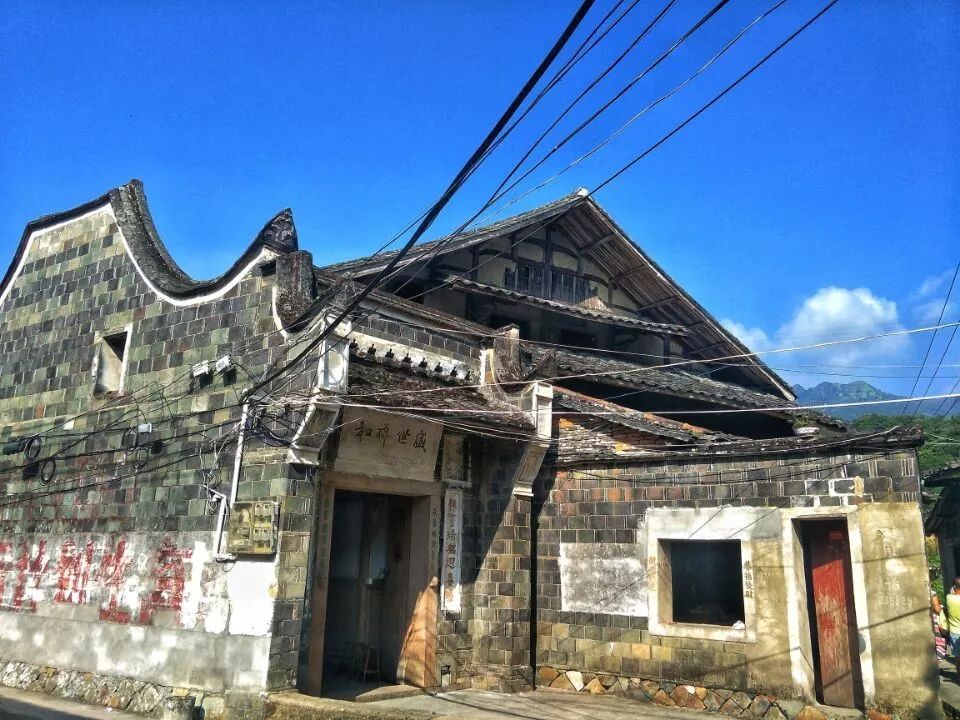 徒步21793曝光寧德3個最美村落秘境除了彼岸花海萬畝茶園億年植物化石