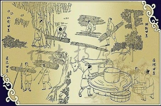 仙游土蔗廍榨蔗与制糖的习俗