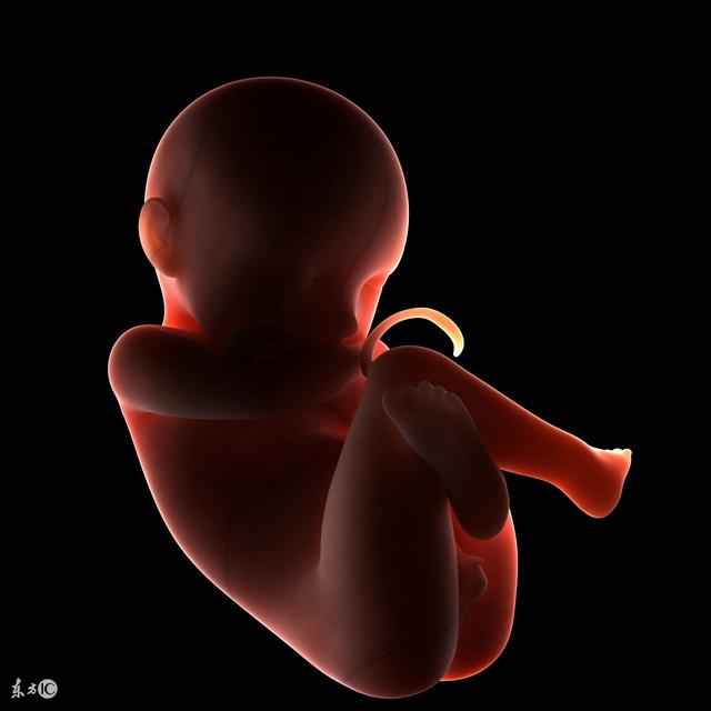 子宫内胎儿的位置称为胎位