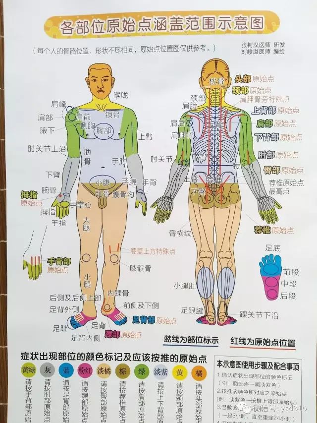 人体痛点 位置示意图图片