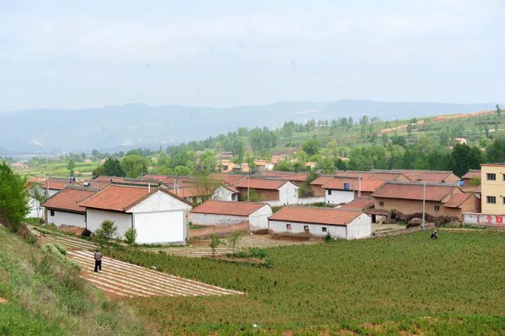 三门峡市温塘村图片