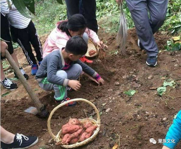 聚族活动|徒步登山,刨地瓜,摘山楂,吃农家饭休闲一日游