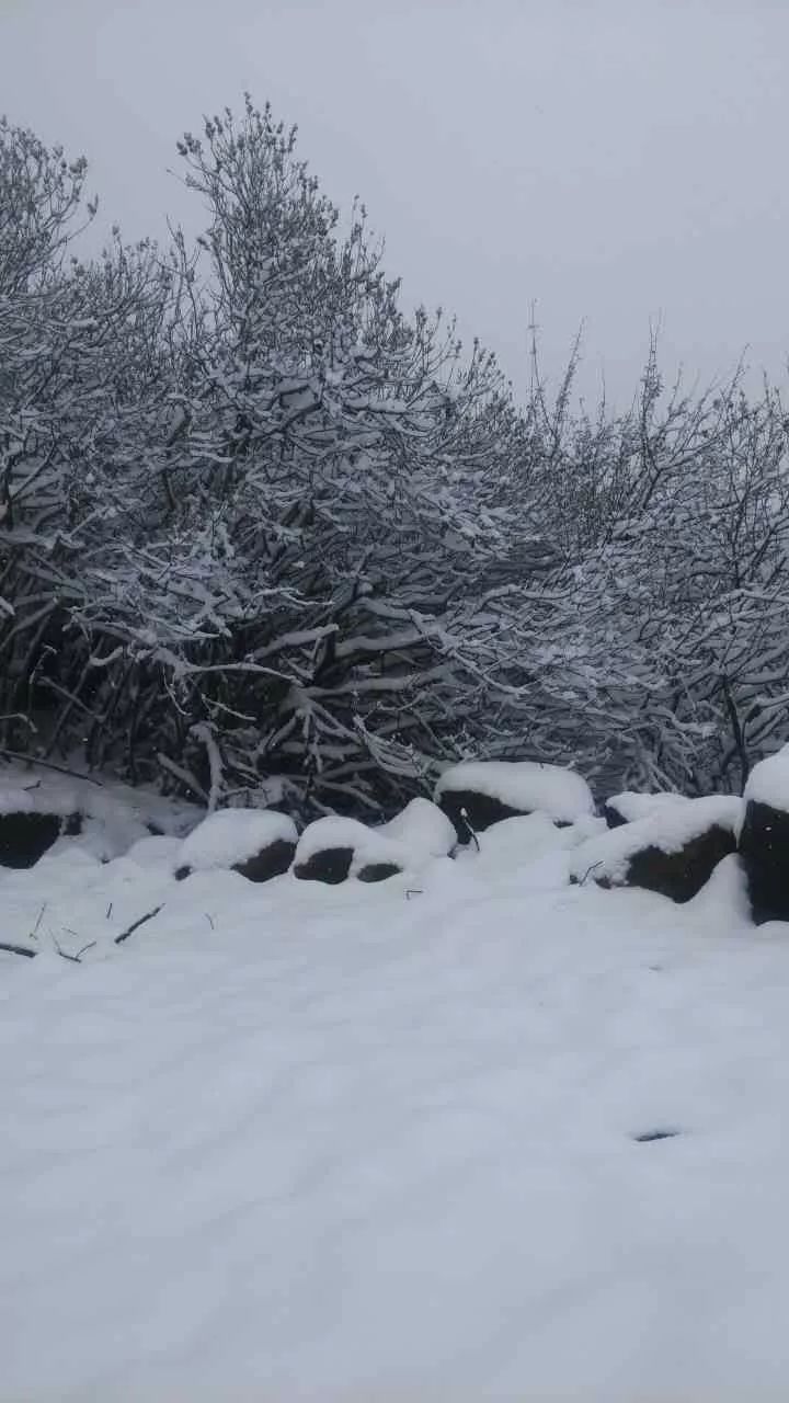 平和大芹山下雪图片