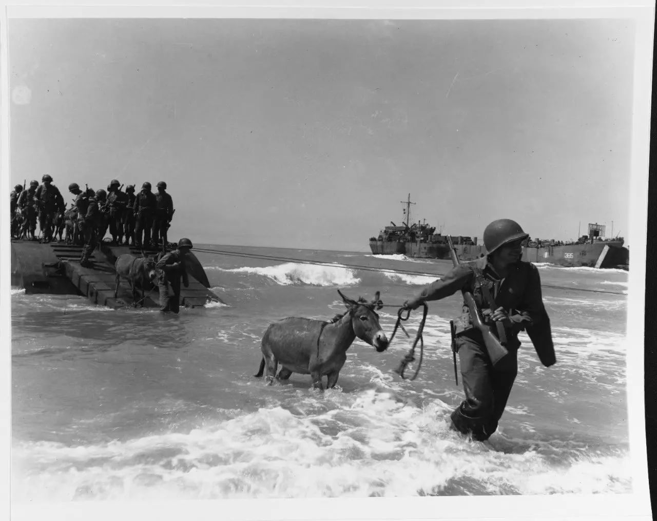 1943年盟軍登陸西西里島 只遭遇很微弱抵抗