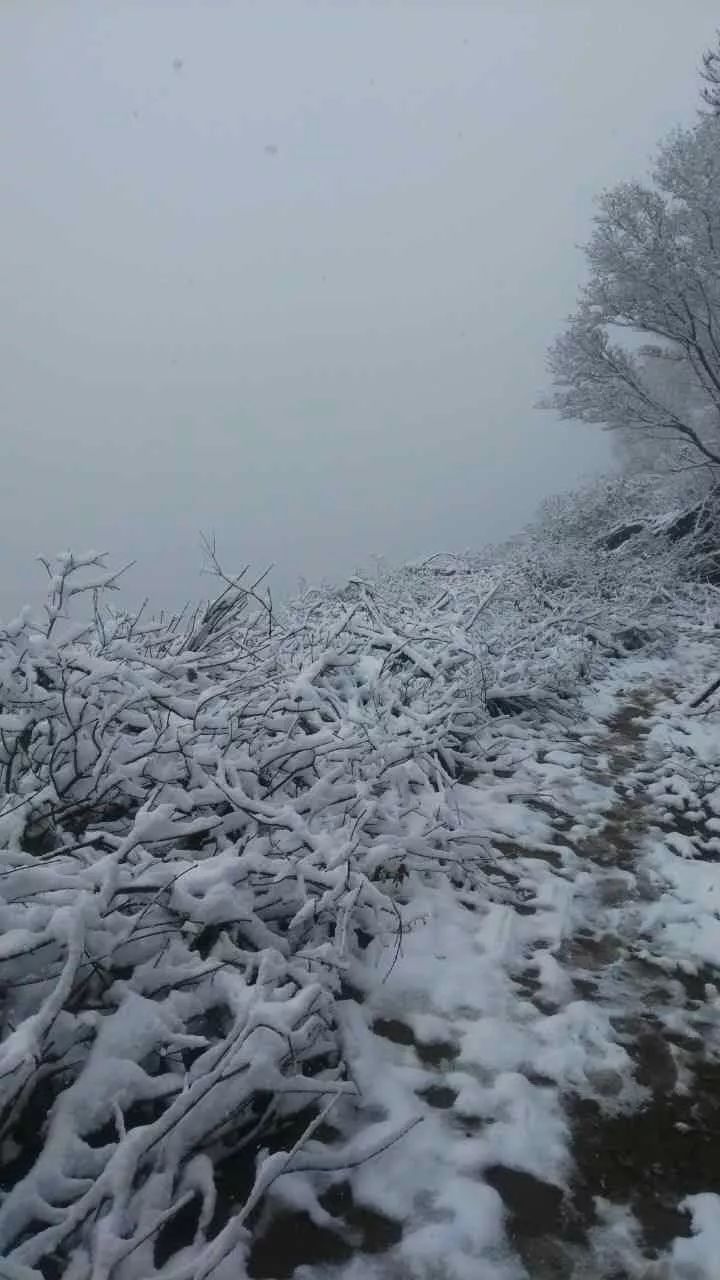 山区下雪了!