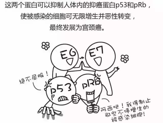 一组漫画告诉你宫颈癌是怎么来的!