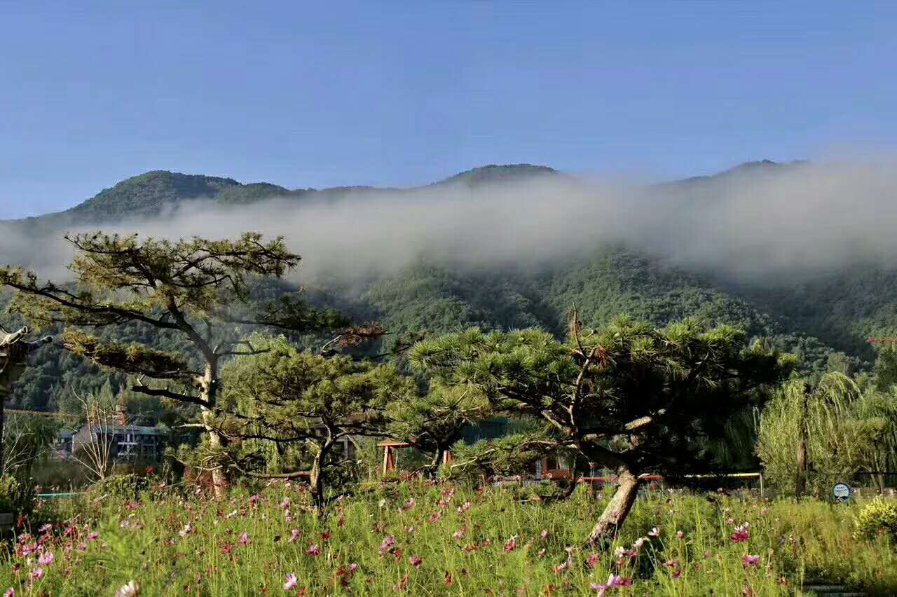 極目兮萬里雲天,倘佯於群嶺樹尖,你會發自肺腑地驚歎曰:黃龍大美!