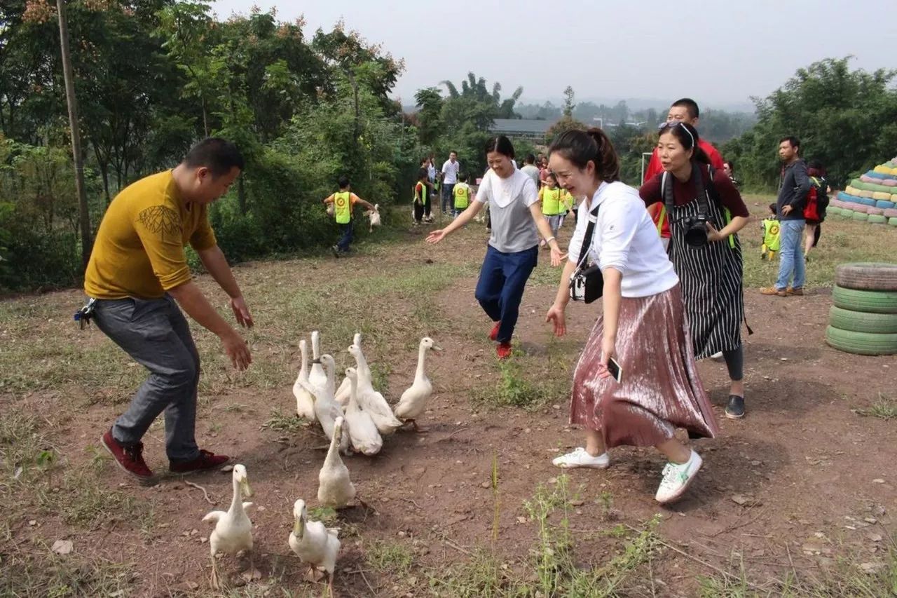 【国庆特色活动回顾】回归田园主题活动,捉鱼,小猪赛跑,捡鸭蛋,赶鸭子