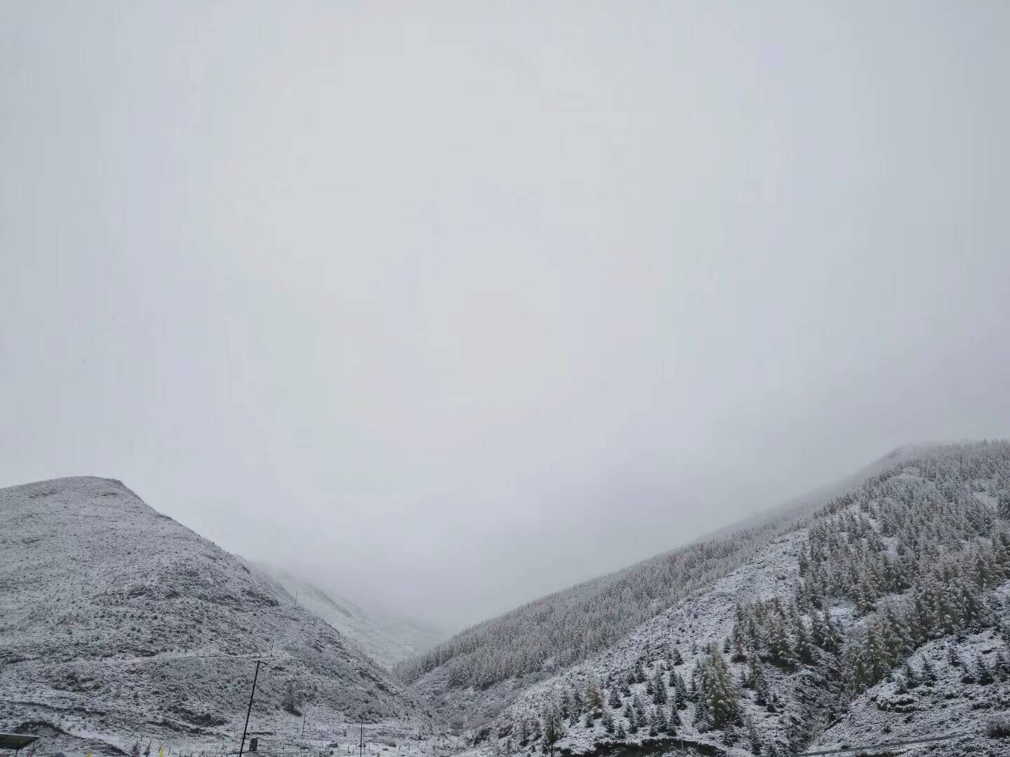 吴家后山雪景图片