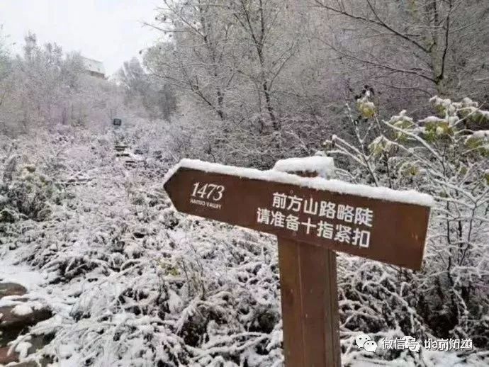 今天下午也迎來了降雪△河北省平山縣駝梁景區△張家口沽源△承德壩上