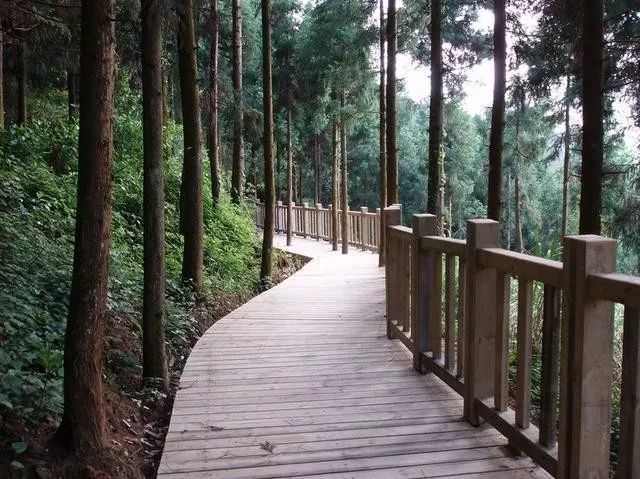 西湖公園▲左海公園▲森林公園▲福道▲金雞山攬城棧道福 州 的 美