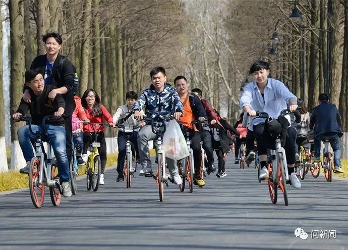 共享单车十一骑行出游报告出炉武汉人骑单车绕地球250圈