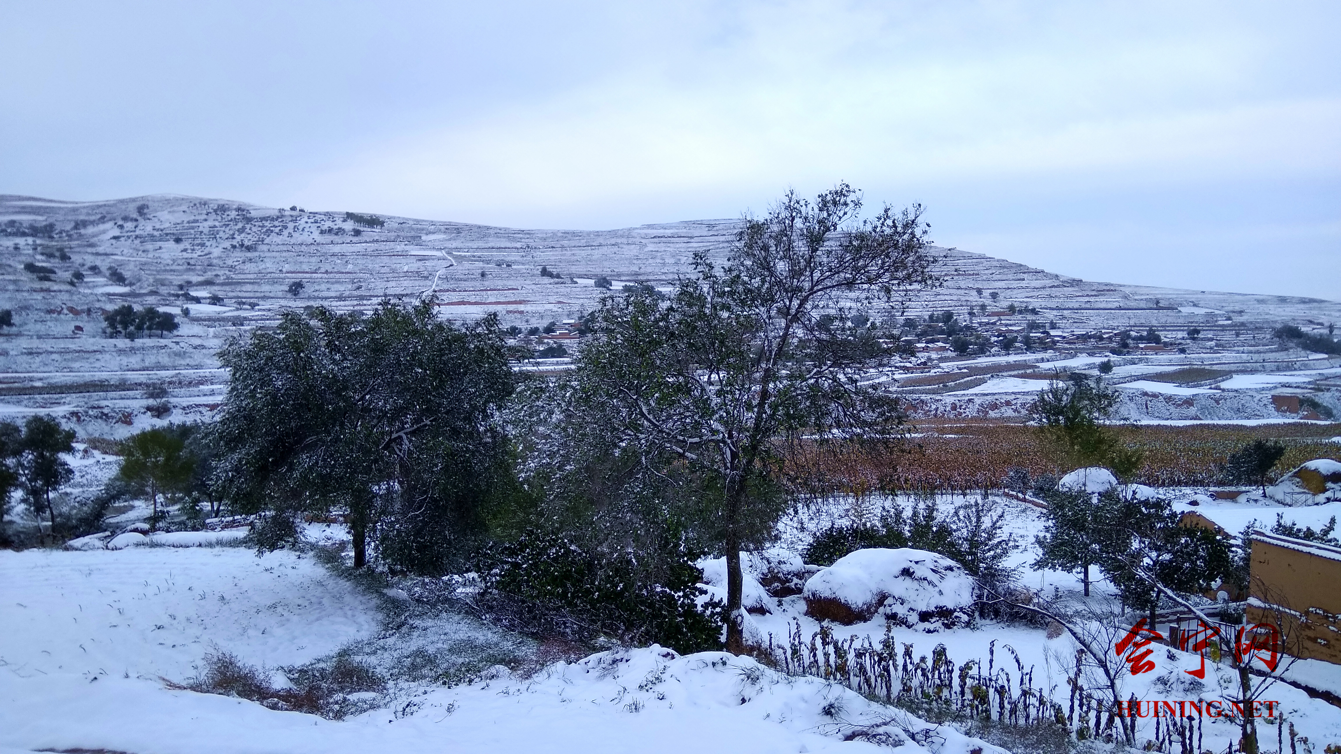 村庄雪景图片大全大图图片