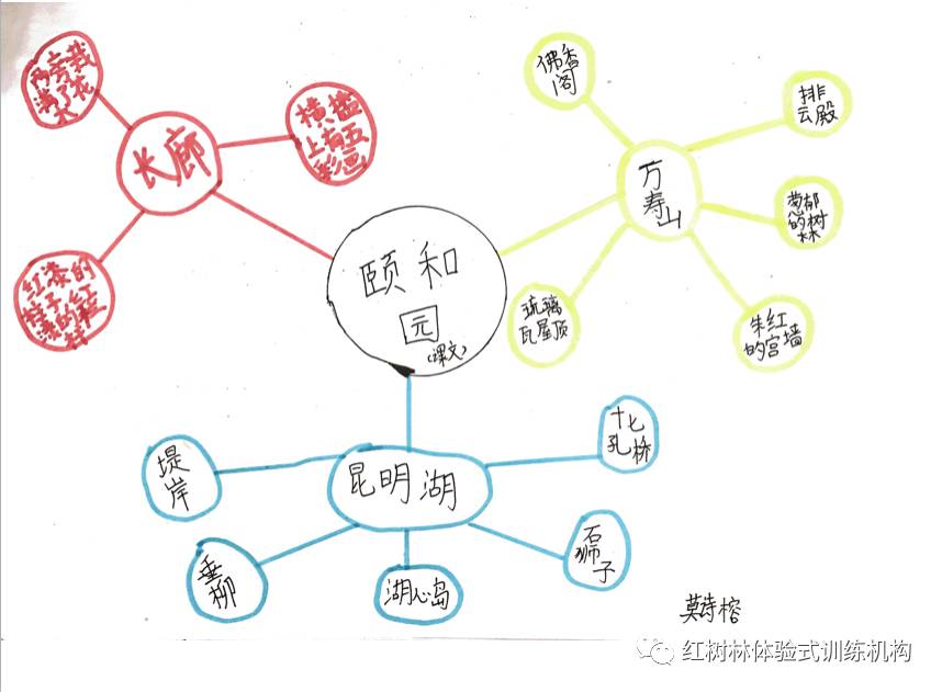 为什么别人家孩子这么厉害因为他学会了结构化思维