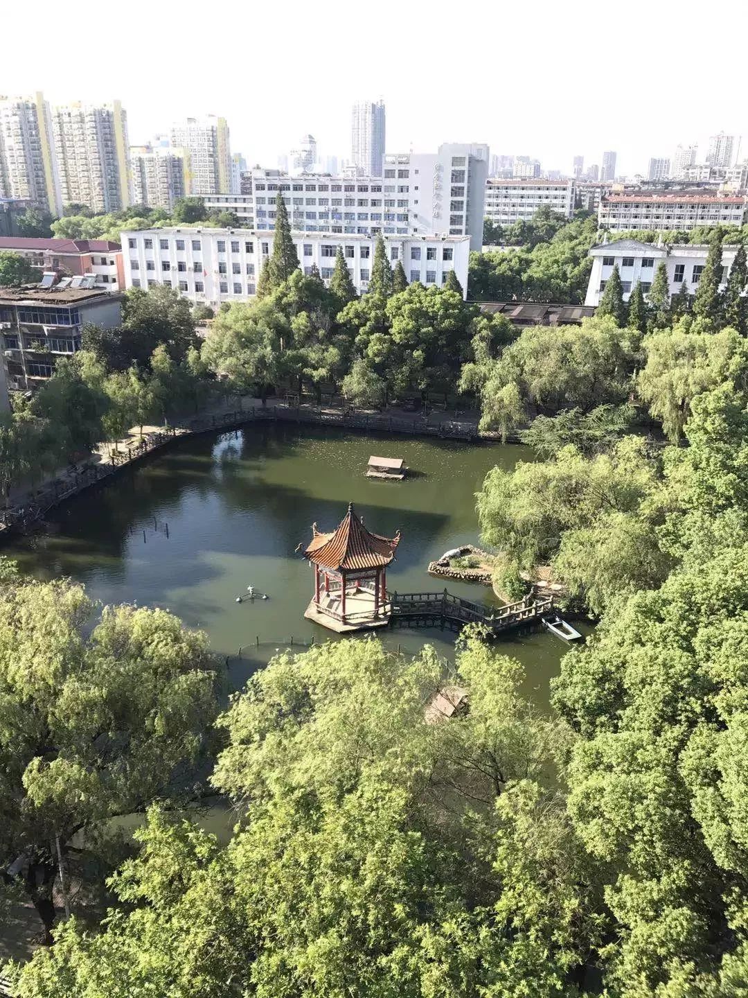 操场年轮秋生命午后的爱情@杨祖铭风景篇@2017级国际经济与贸易