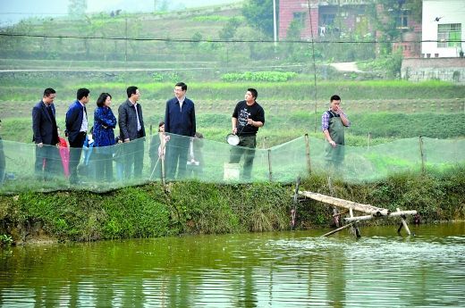 梁平区金带镇双桂村潼南区崇龛镇白沙村武隆区沧沟乡关庙村城口县岚天