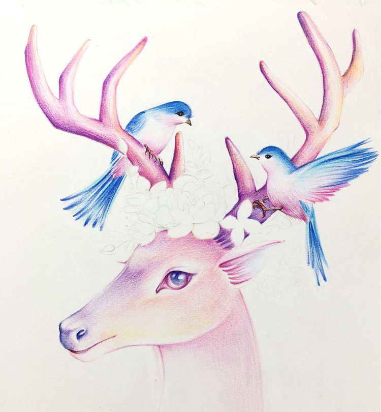 这次咱们一起画个灵兽吧,森林屿鹿,彩铅手绘教程