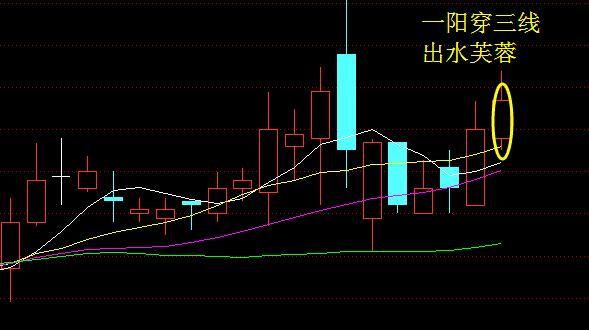 杭州老股民:一旦掌握芙蓉出水法,股市就是你的提款机,建议收藏