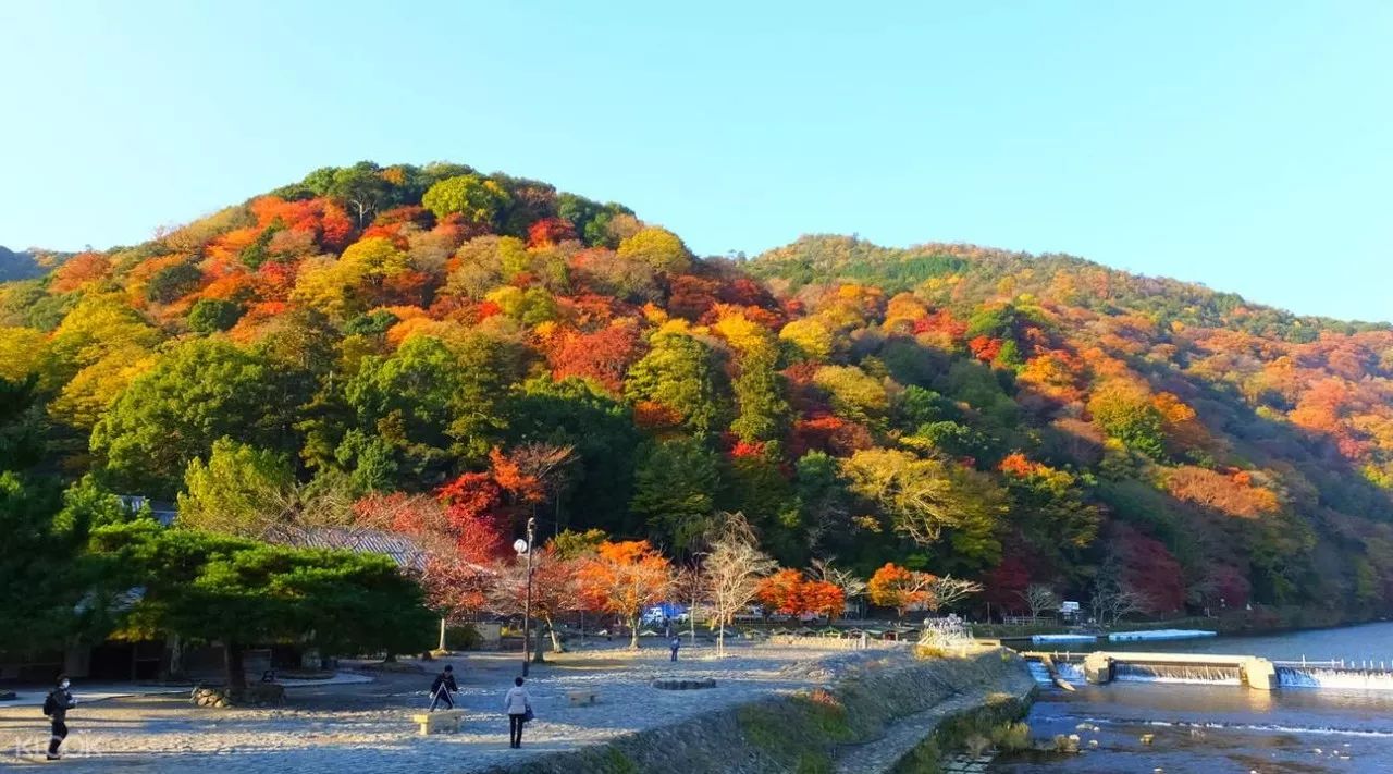 楓葉紅火,廟宇靜謐,嵐山上的時間似乎在靜止中,讓你可以將這些美好