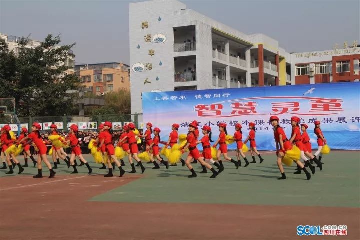 (仪陇县滨江小学校网络图)