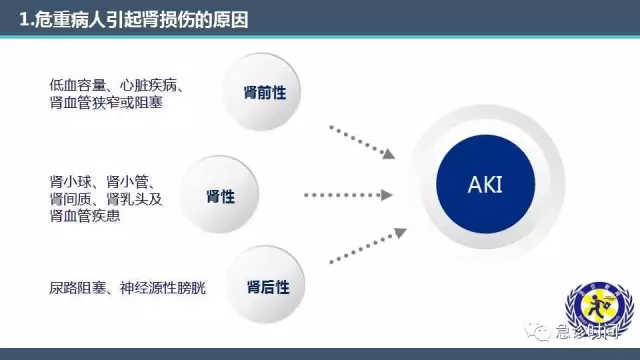 危重症患者急性肾损伤的识别与管理