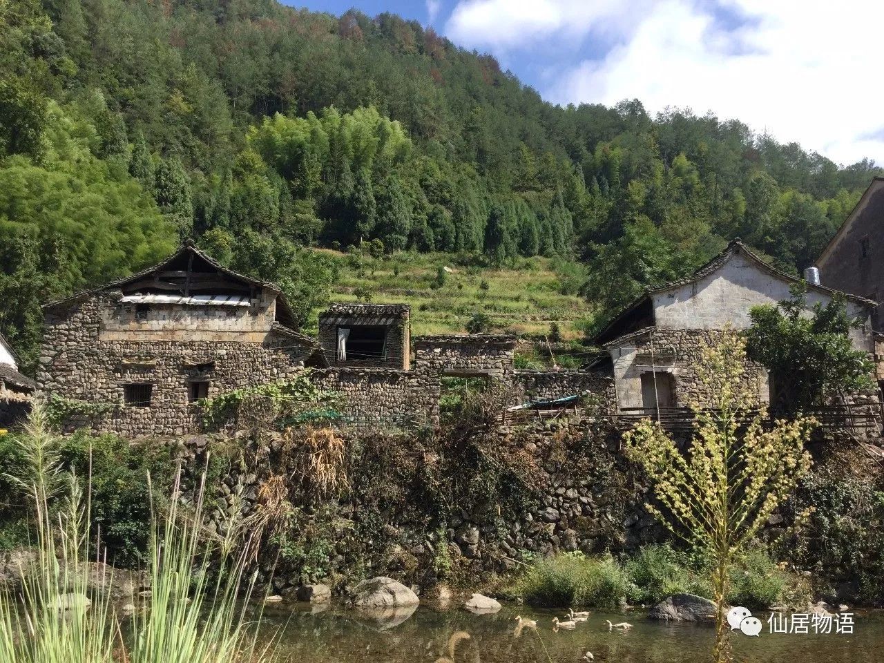 仙居古村落:连头村