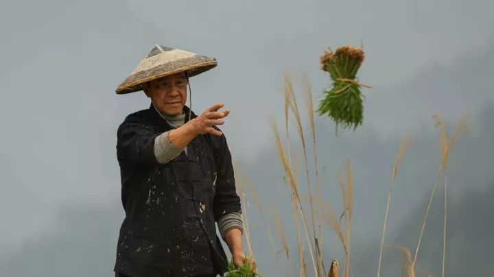 十八洞村杨英俊图片