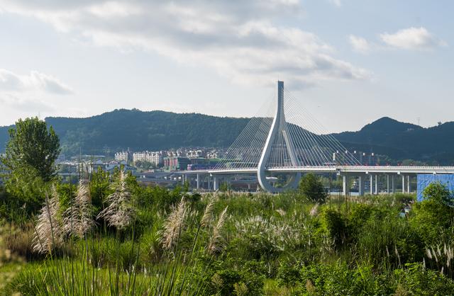 南江公园景观桥图片