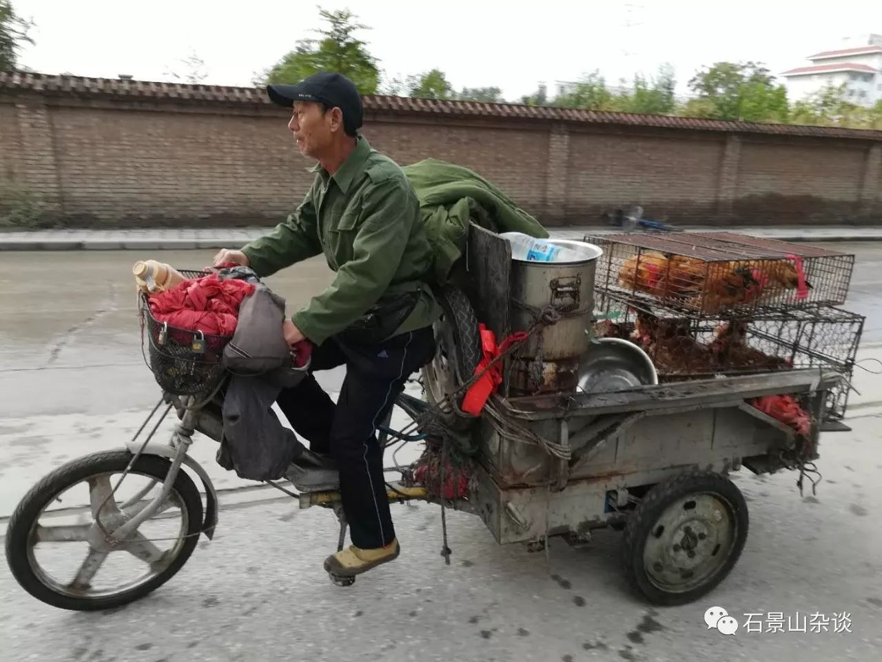 石景山有胡同游商卖活鸡 现场宰杀褪毛