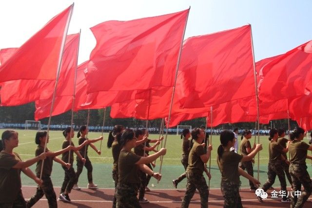 衡阳市八中校旗图片