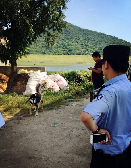 那些年被警察抓過的哈士奇們