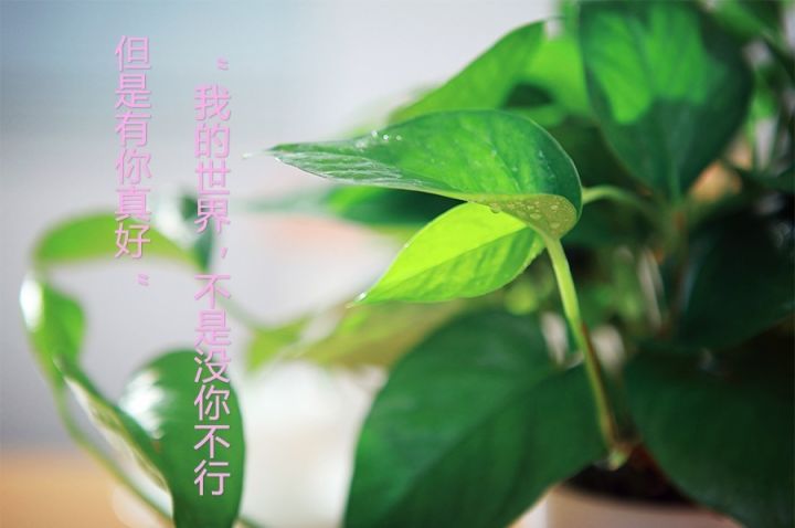 茫茫人海有你真好