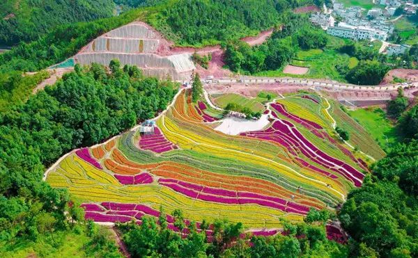 振兴发展五年来,赣南儿女围绕建设我国南方地区重要的生态屏障,推动