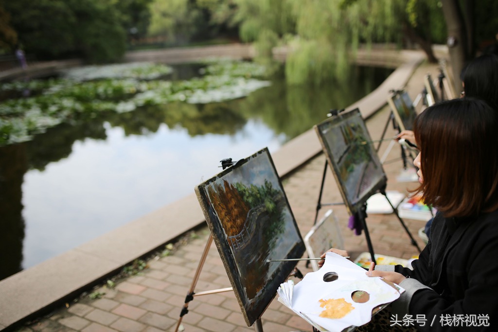 绚丽八大关秋景醉人,一群群学美术大学生扎堆来创作水粉画