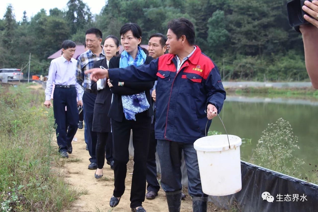 曾萍来到中台村种养家庭农场,亲身走进虾蟹养殖区,实地查看特种养殖所