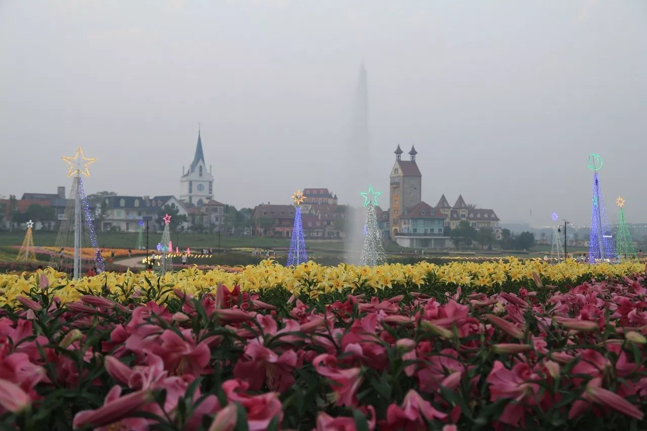 花博汇:不一样的时间,不一样的风景