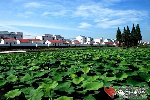 荆州市洪湖市螺山镇中原村(图片来自东湖社区 美丽乡村试建点 县