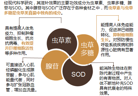 虫草硒牡蛎钙成分图片